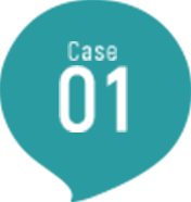 Case 01