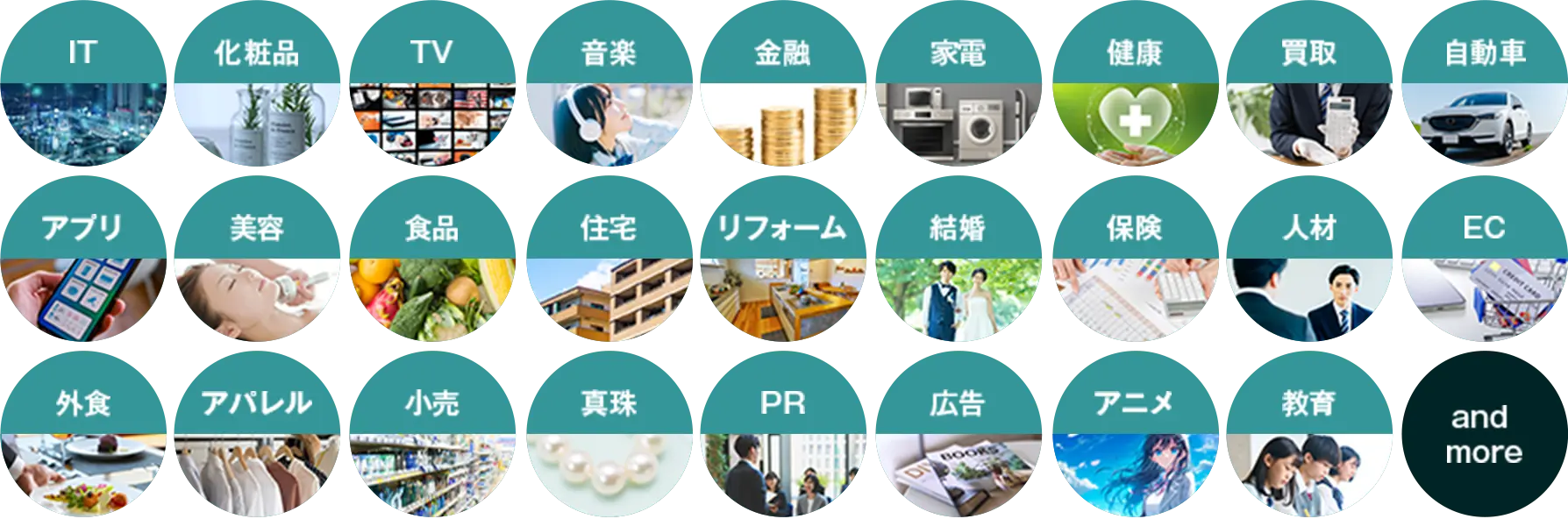 LPO支援実績