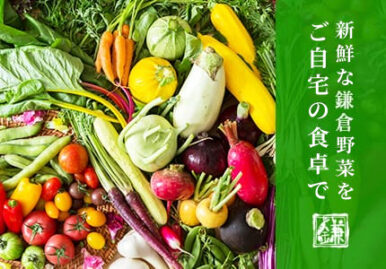 野菜宅配サービスのランディングページを制作