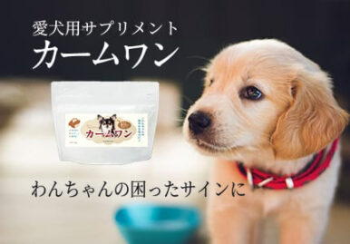 人気ブランドが開発した犬用サプリメントのランディングページを制作