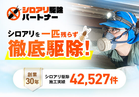 シロアリ駆除サービスのランディングページ（LP）を制作